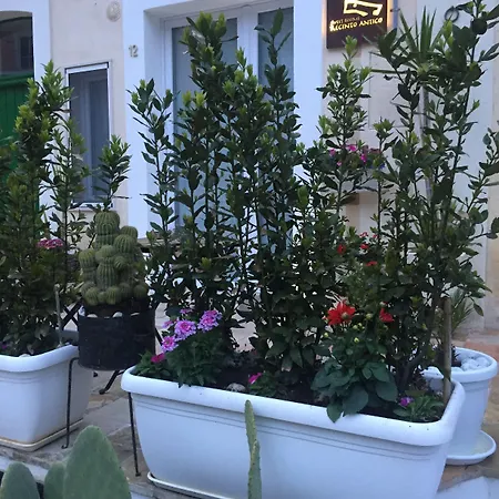 Recinto Antico Sweet